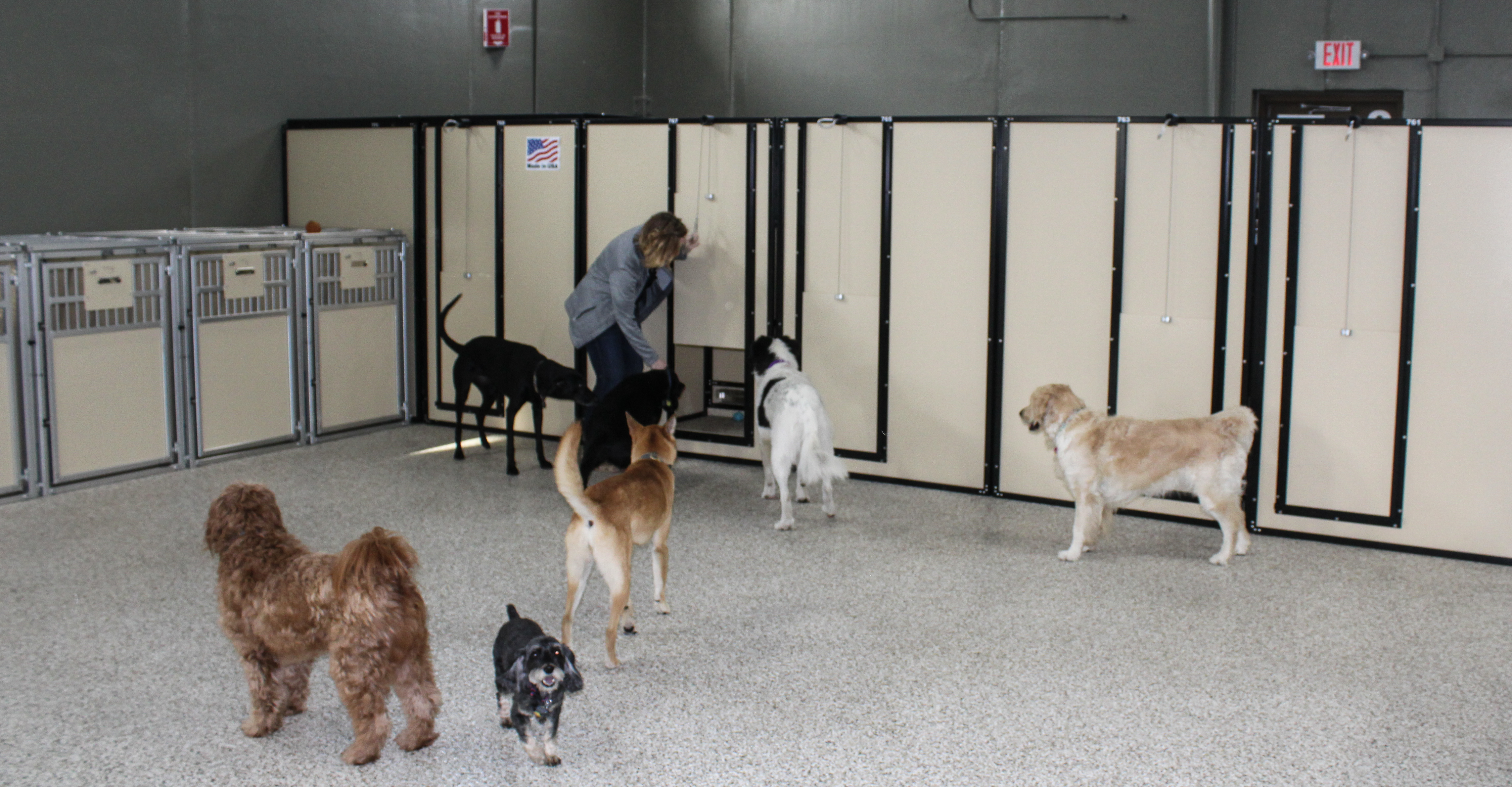 Pull effortlessly in any direction to allow dogs to enter and exit while standing off to the side.