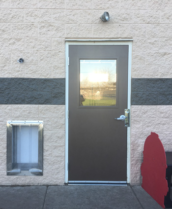 Dog Door with Weather Flaps