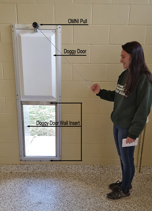 Doggy Day Care Staff Opening Door with Dog Door Wall Insert